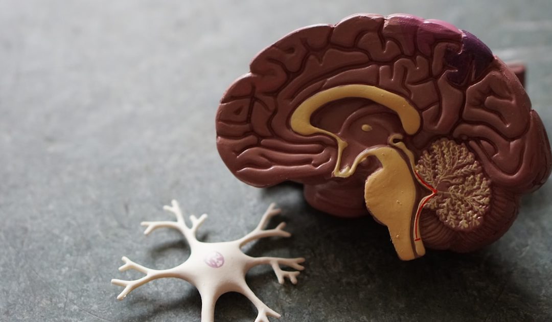 Fibromyalgie : symptômes, diagnostic et prise en charge complète